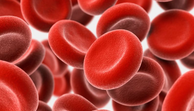 Anisocitose - Glóbulos Vermelhos