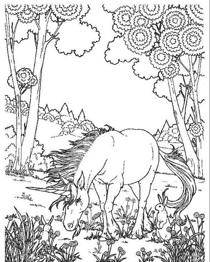 unicornio floresta para colorir e1574200038585