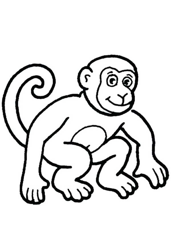 Desenho de Macaco Para Colorir - Tem Pra Adultos e Crianças!