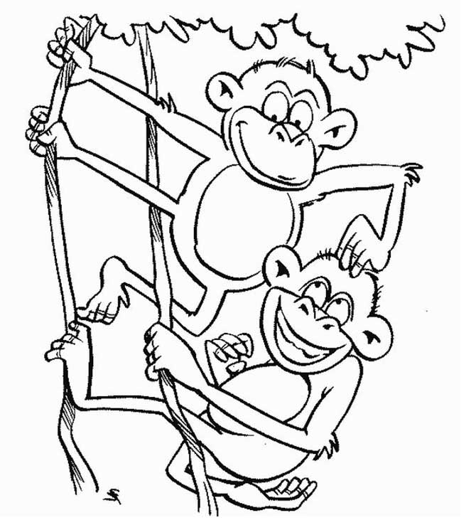 Desenho De Macaco Para Colorir: Diversão Garantida Para Crianças!