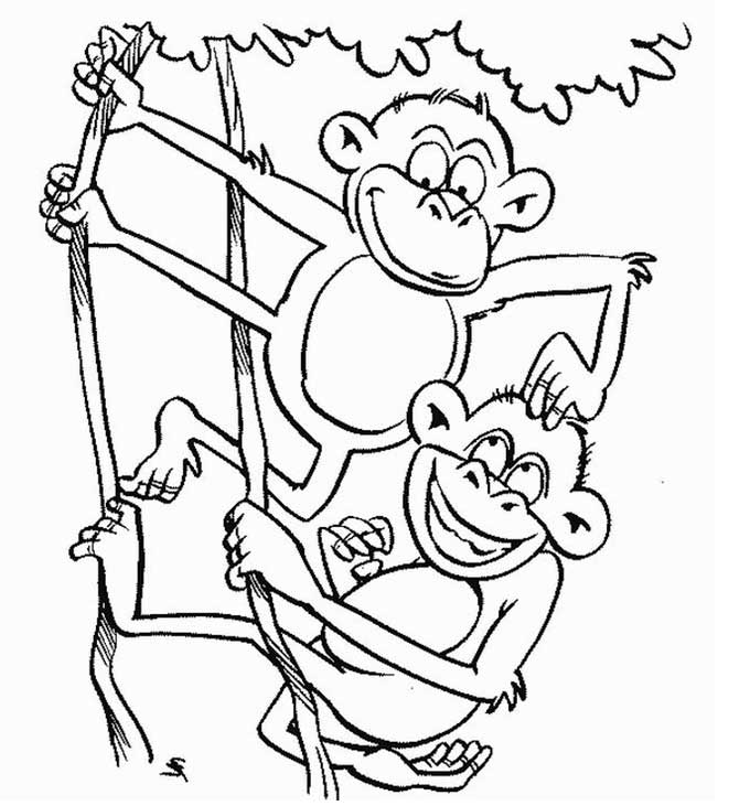 Macaco na Cabeça: Desenhos para Colorir e Imprimir!